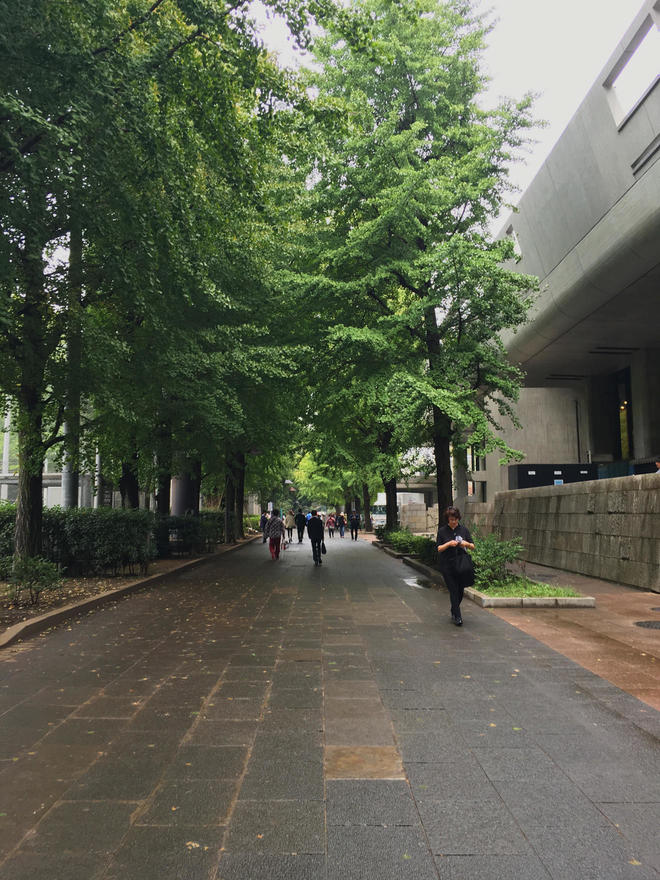 上野公園の通り道